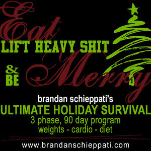 "ULTIMATE HOLIDAY SURVIVAL"